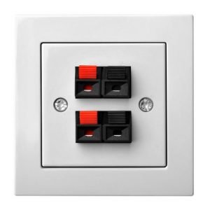 Epsilon Garsiakalbio lizdas 4-ių gnybtų, be rėmelio