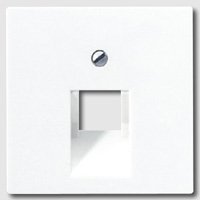 JUNG Dangtelis A 569-1 PLUAWW 1 lizdas 8 polių