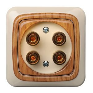 Alfa Garsiakalbio lizdas 4-ių gnybtų, be rėmelio (ąžuolo sp.)