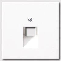 JUNG Dangtelis LS 969-1 UAWW 1 lizdas 8 polių