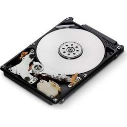 Kietasis diskas Seagate Skyhawk Surveillance 4TB