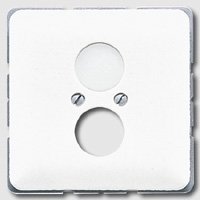 JUNG Dangtelis CD 562WW garsiakalbio