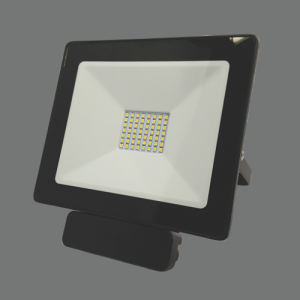 20W LED lauko prožektorius su judesiu ToledoSens