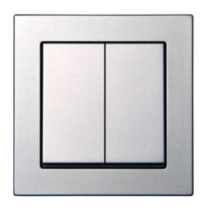 Epsilon Jungiklis 2-jų klavišų, be rėmelio