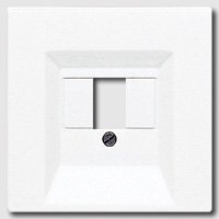 JUNG Dangtelis LS 969 TWW garsiakalbio, tinklo, usb